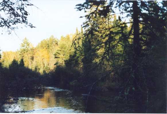 Wisconsin River from RWT Landing